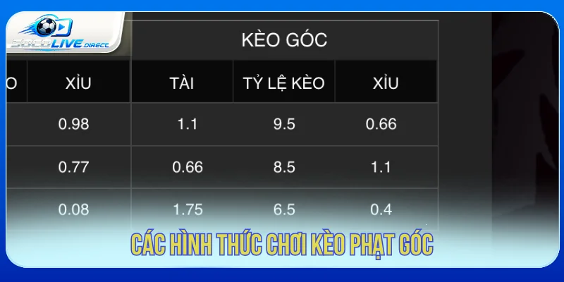 Các dạng kèo phạt góc phổ biến trong bóng đá