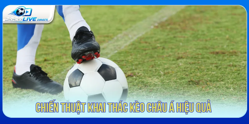 Cách phân tích cửa trên và cửa dưới trong kèo châu Á