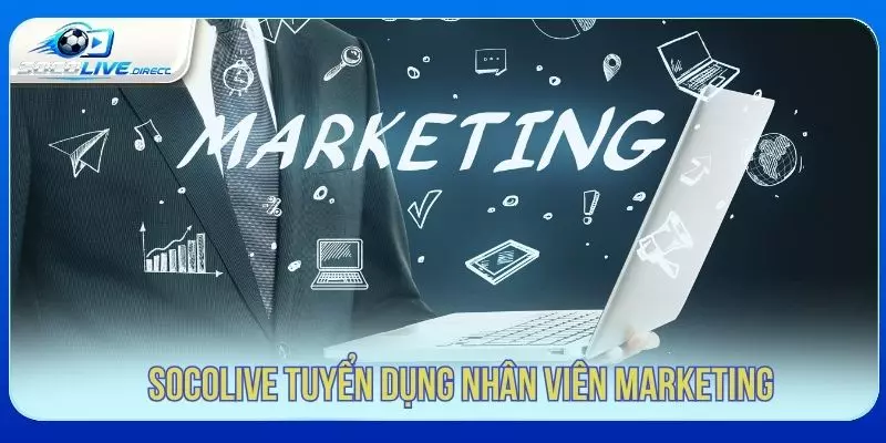 Vị trí marketing trong hệ thống Socolive